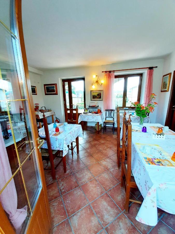 Il Vecchio Noce Brugnato